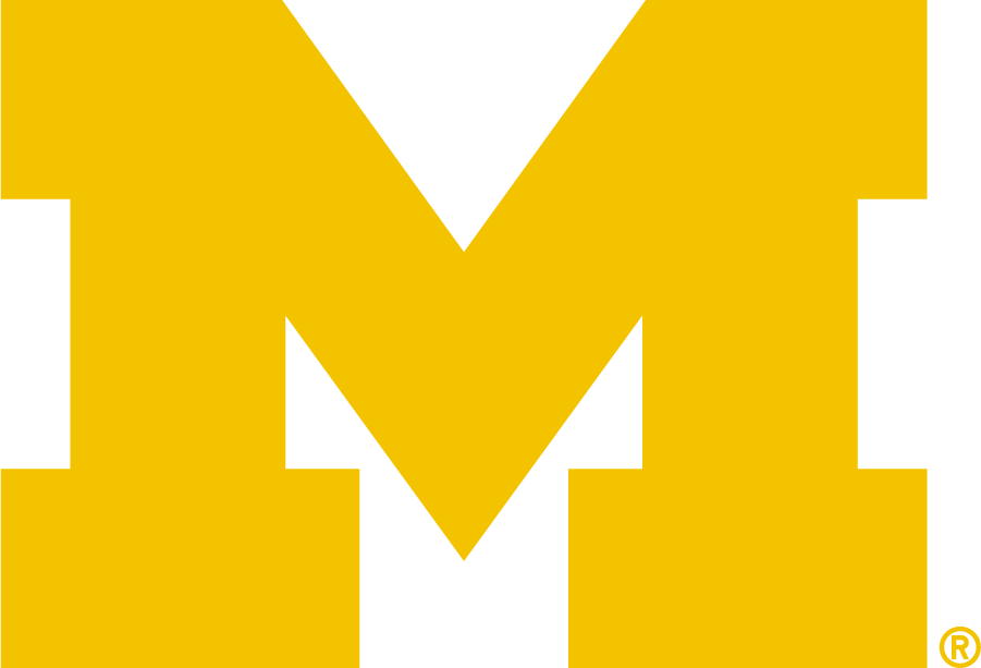 Michigan Wolverines 2016-Pres Primary Logo iron on transfers for clothing
